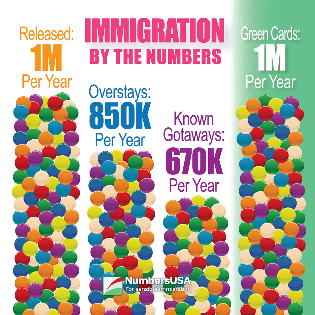 Current legal and illegal immigration numbers.