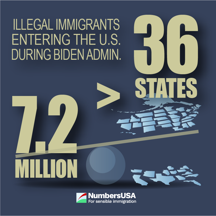 Illegal immigration has surpassed the population of 36 U.S. states.
