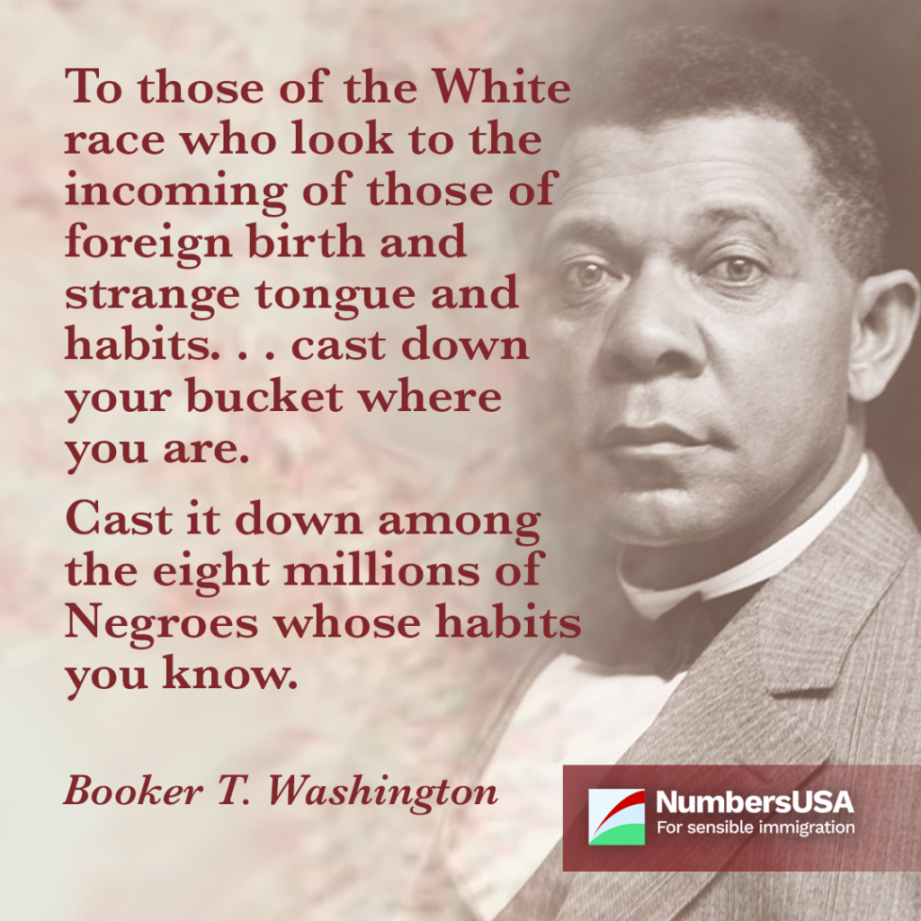 Washington: "To those of the white race who look to the incoming of those of foreign birth and strange tongue and habits...cast down your bucket where you are."