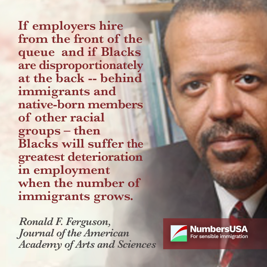 Ferguson: "Blacks will suffer the greatest deterioration in unemployment when the number of immigrants grows."