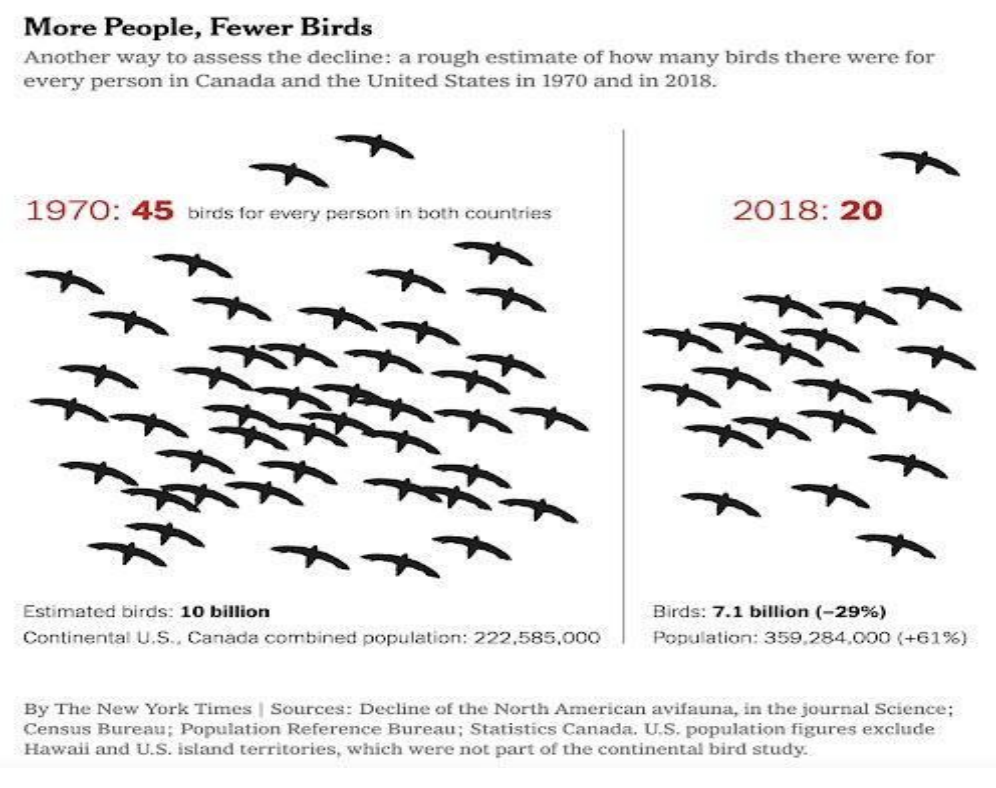 N. American birds have declined by 3 billion since 1970. More people, fewer birds.